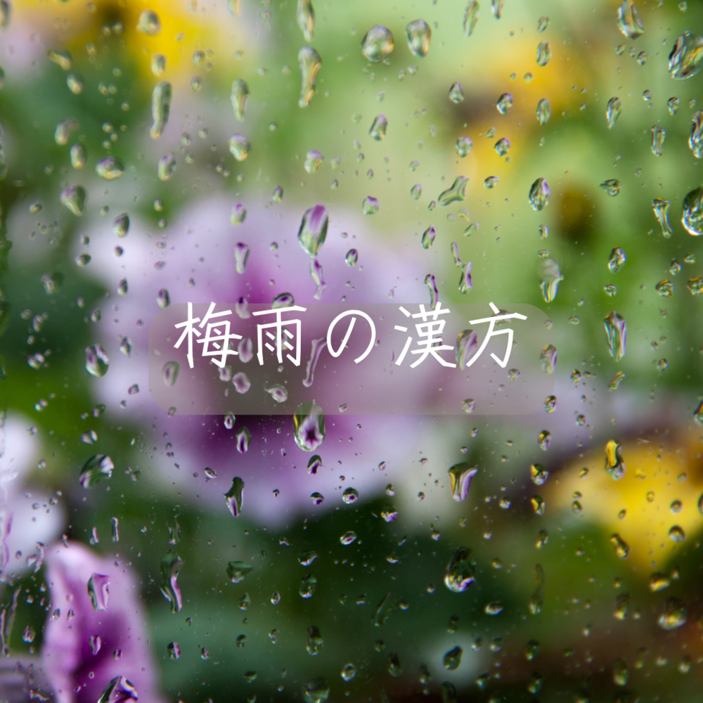 梅雨の漢方