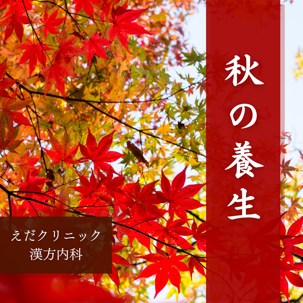 秋の養生